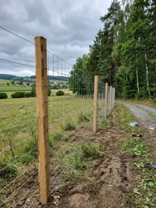 Wildzaun in Bonn - fachgerechte Ausführung vor Ort